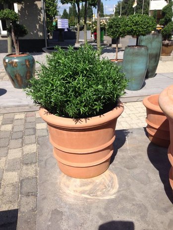 Artificial outdoor Rosemary branch 40 cm UV protected