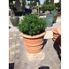 Artificial outdoor Rosemary branch 40 cm UV protected Artificial outdoor Rosemary branch 40 cm UV protected