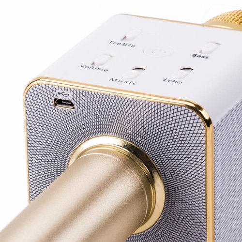 Parya Official - Karaoke Microphone - Gold