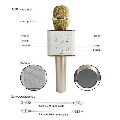 Parya Official - Karaoke Microphone - Gold