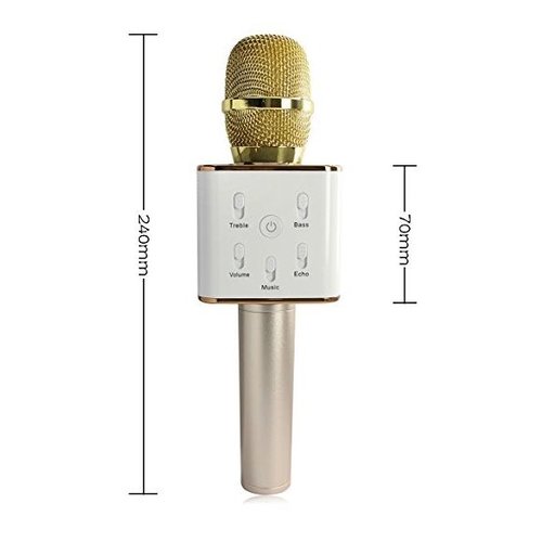 Parya Official - Karaoke Microphone - Gold