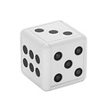 Mini camera dice