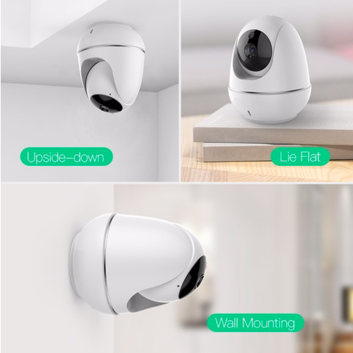 Parya Official - IP Camera - Egg