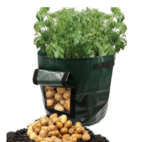 Potato Growing Bag