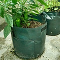 Potato Growing Bag