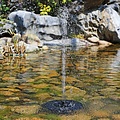 Parya Garden - Drijvende fontein pomp - Geschikt voor in de vijver