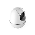 Parya Official - IP Camera - Egg