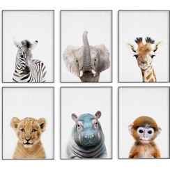 Parya Official - Dierenposters - 6 Stuks