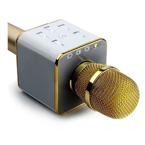 Parya Official - Karaoke Microphone - Gold