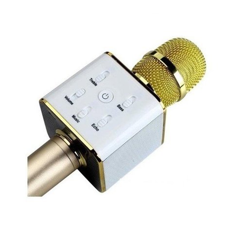 Parya Official - Karaoke Microphone - Gold