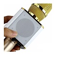 Parya Official - Karaoke Microphone - Gold