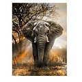 Parya Official - Diamond Painting - Includes storage box - Elephant in the savanna