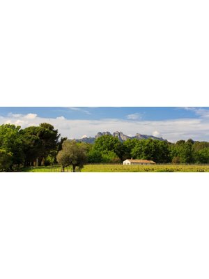 Domaine de Marchandise 2021Marchandise Côtes de Provence Rosé