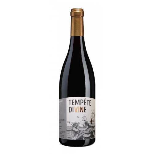 2021 Philippe Dupond Tempête Divine Brouilly 2021 Philippe Dupond Tempête Divine Brouilly