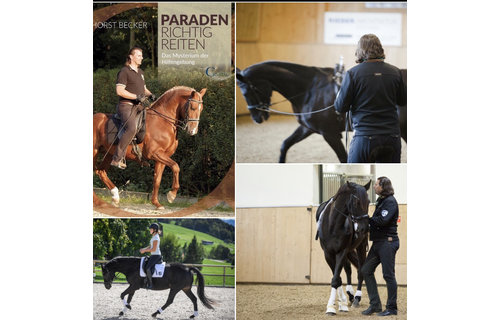 Haus der Dressur 19.-21. August 2022 Sommerkurs - Klassische Dressur, am Boden & Geritten an feiner Hand mit Horst Becker in Wittorf Haus der Dressur 19.-21. August 2022 Sommerkurs - Klassische Dressur, am Boden & Geritten an feiner Hand mit Horst Becker in Wittorf