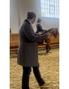 Zuschauerticket 6.-18.08.2024 Festschloss Schlosshof / Österreich HB-SEMINAR "Reiten im klassischen Viereck"