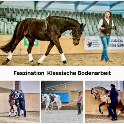 18.-20.04.25 in der Südheide WORKSHOP KLASS. BODENARBEIT  geleitet & moderiert Horst Becker im Gestüt Goting Cliff