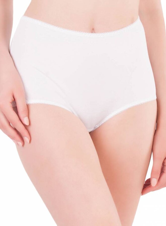 High waist briefs 4375/51