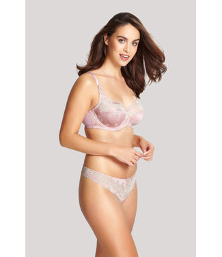 Panache Thong Clara Pink/Champ 7259