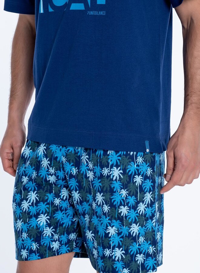 Pyjama voor heren Sand 3446660