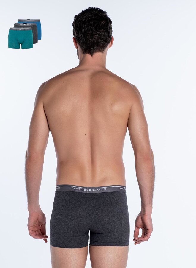 Boxer shorts Basix 3-pack 53438-40 785