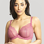 Ana Plunge Bh Berry Pink 9396