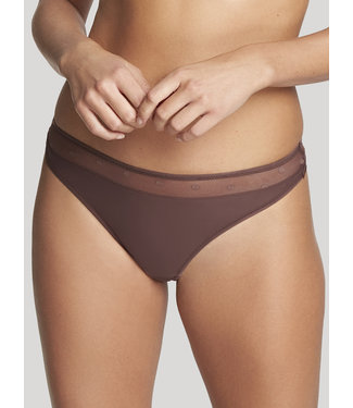 Cleo by Panache Brazilian Koko Spirit Toffee 9519