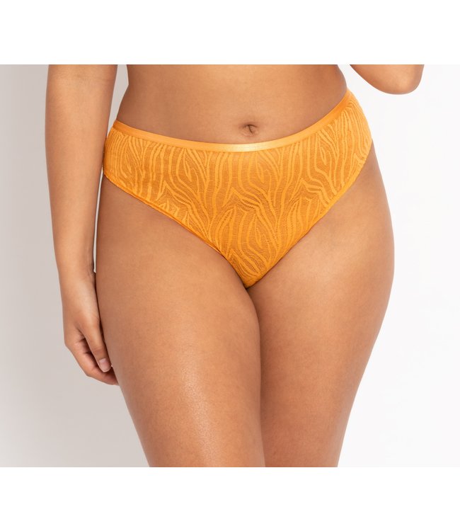 Curvy Kate Lace Daze Bralette Mango