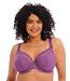 Elomi Charley Plunge Bh Pansy EL4382