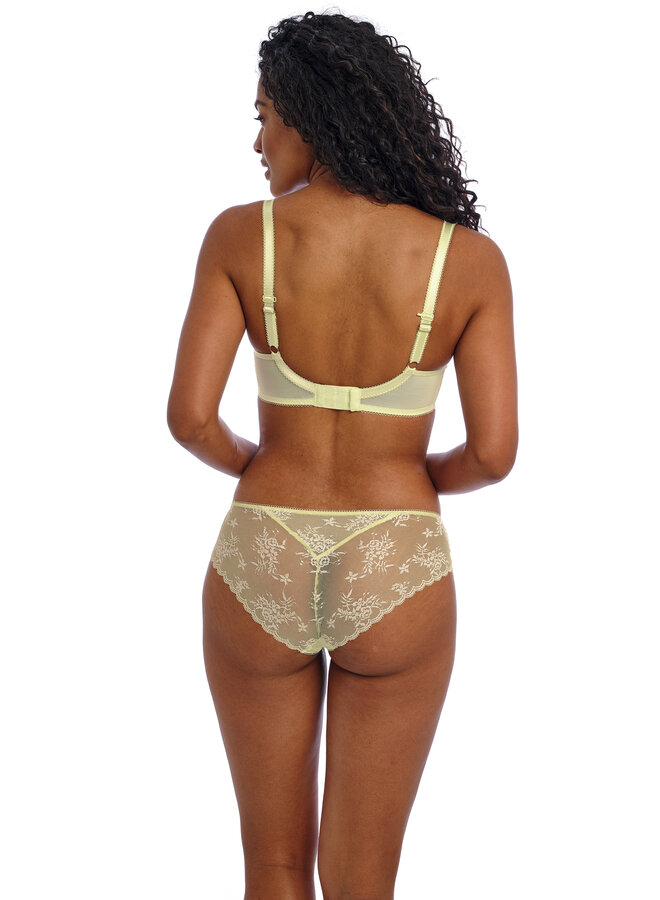 Brief Offbeat Decadence Key Lime AA402550