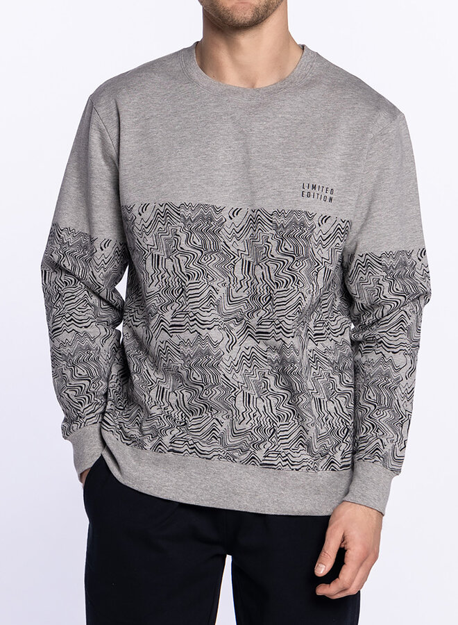 Pyjama voor heren Rainy 34629-70 562