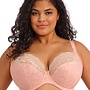 Lucie Plunge Bh Pale Blush EL4490