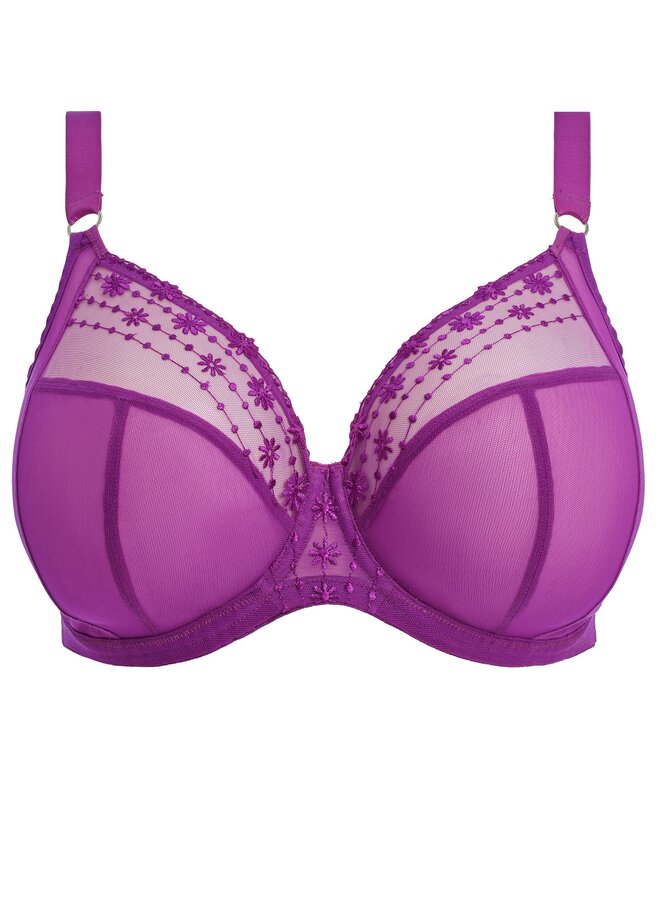 Matilda Plunge Bh Hollyhock  EL8900