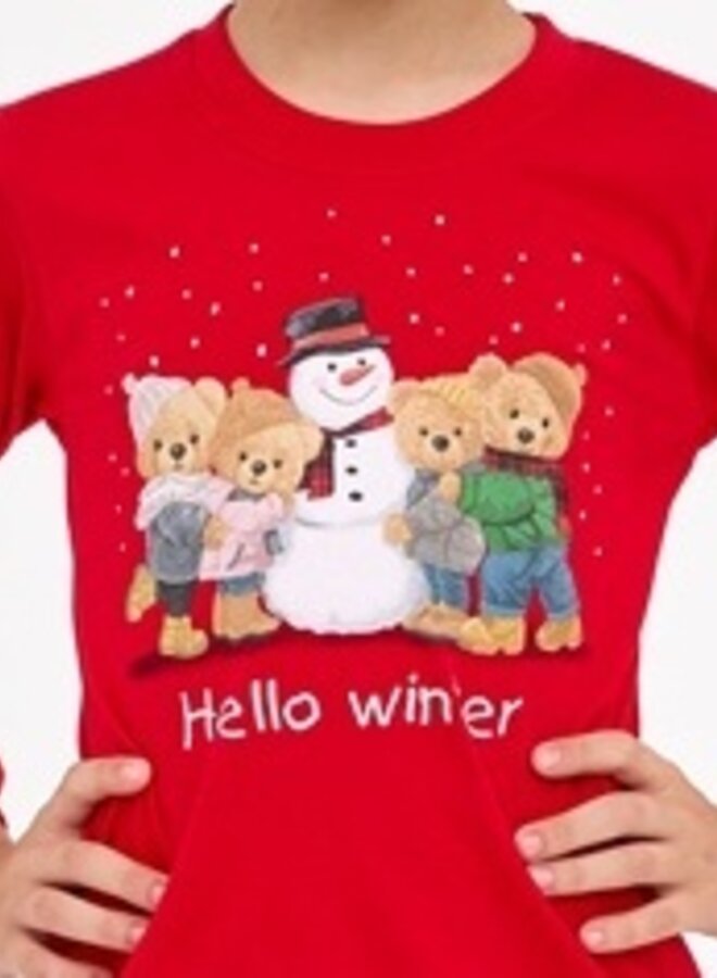 Pyjama voor jongens Winter 593/171 966/171