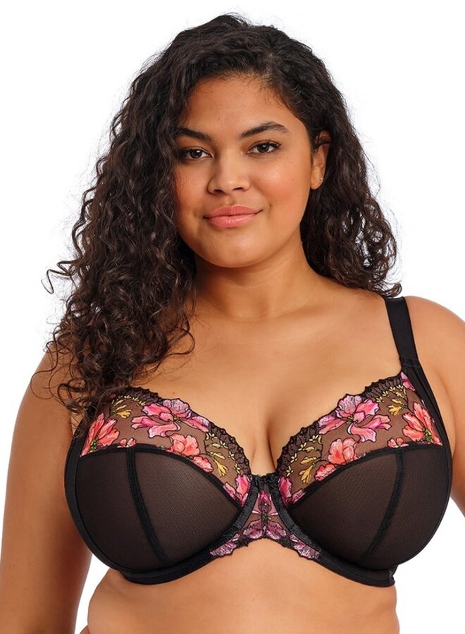 Teagan Plunge Bh Rainbow EL302602