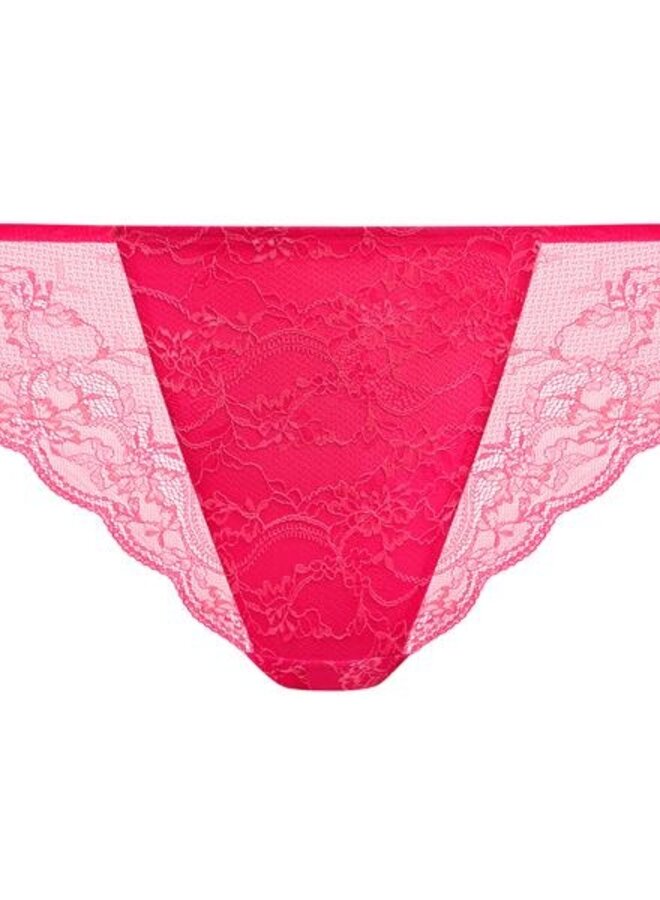 Brazilian Darcie Azalea  EL302955