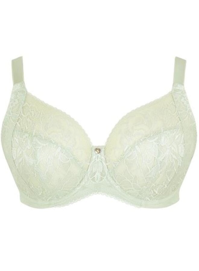 Dream Full Cup Bh Pistachio 10805