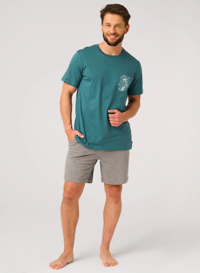 Pyjama voor heren Katoen Turquoise/Grijs MNS 741