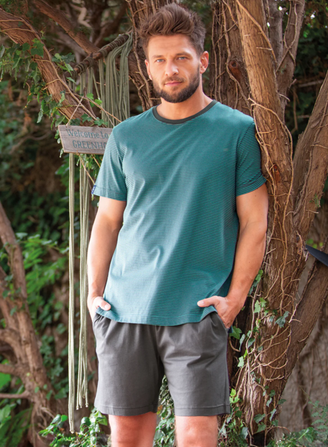 Pyjama voor heren Katoen Turquoise/Grijs MNS 317