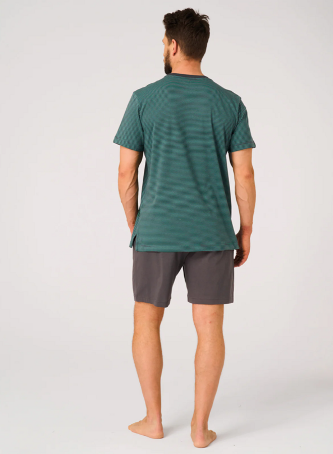 Pyjama voor heren Katoen Turquoise/Grijs MNS 317