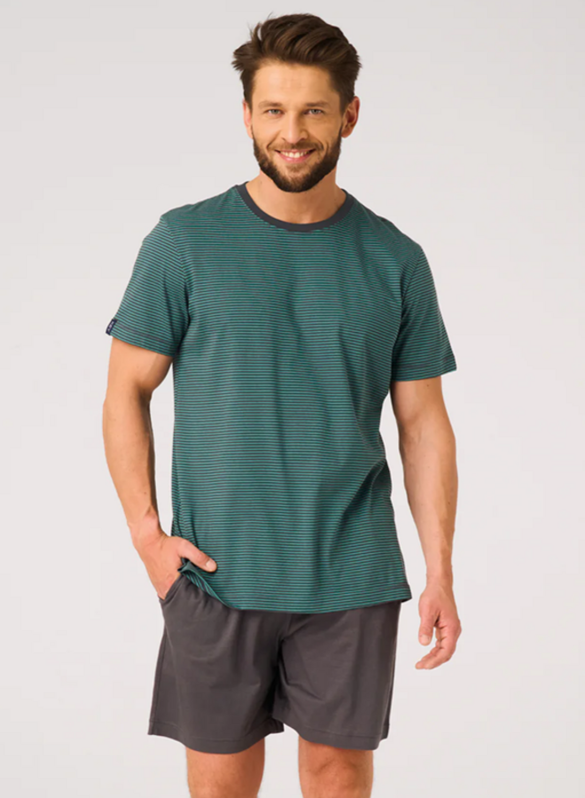 Pyjama voor heren Katoen Turquoise/Grijs MNS 317