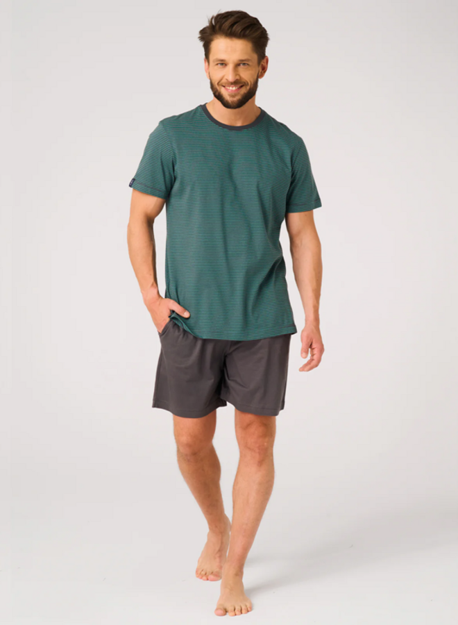 Pyjama voor heren Katoen Turquoise/Grijs MNS 317