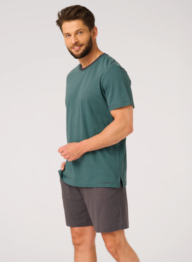 Pyjama voor heren Katoen Turquoise/Grijs MNS 317