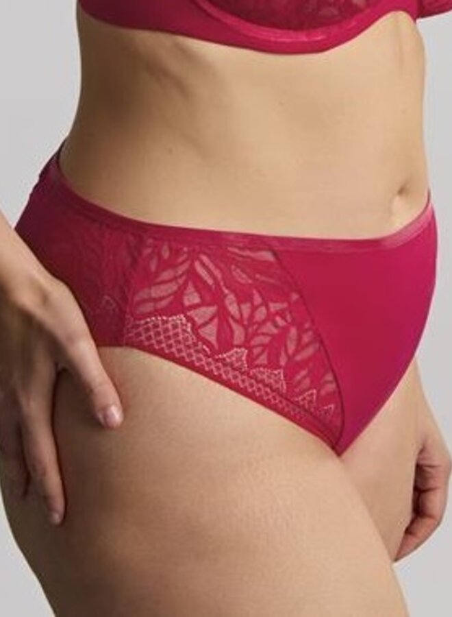 Brazilian Sophia Raspberry 11193