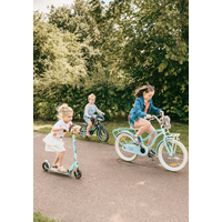 Wild & Soft scooter head - step accessoires - stimuleert fantasie - Egel