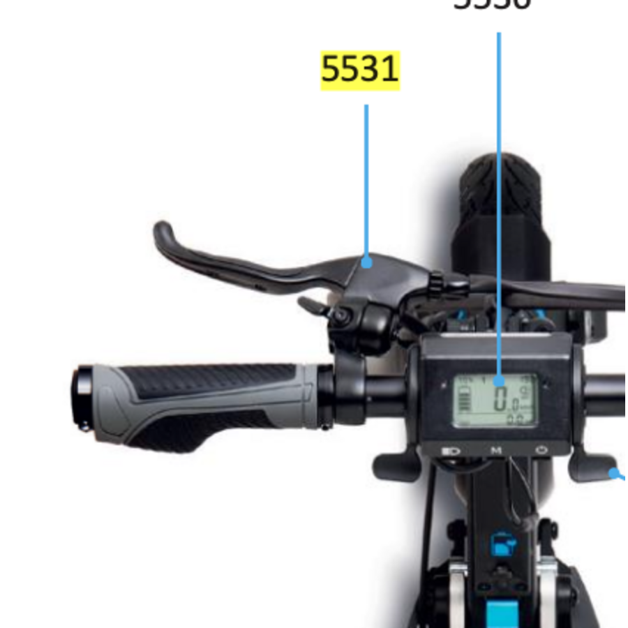 handrem Merlin (5531)