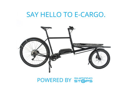 Electric - Paradise Cycles