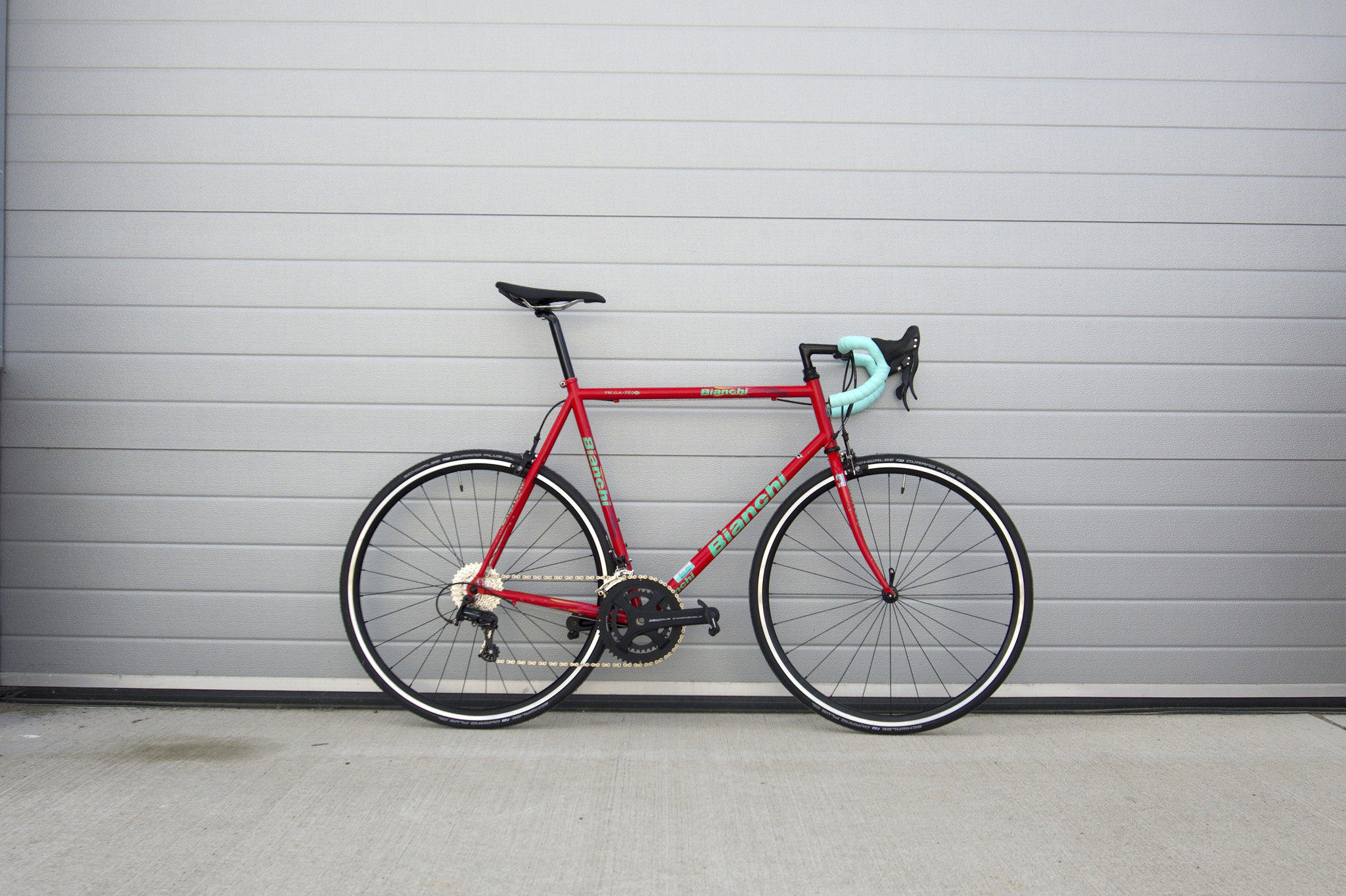 Bianchi In Front Of The Shutters