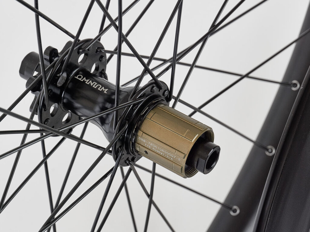 Omnium Omnium x DT Swiss Thru Axle Cargo Wheelset