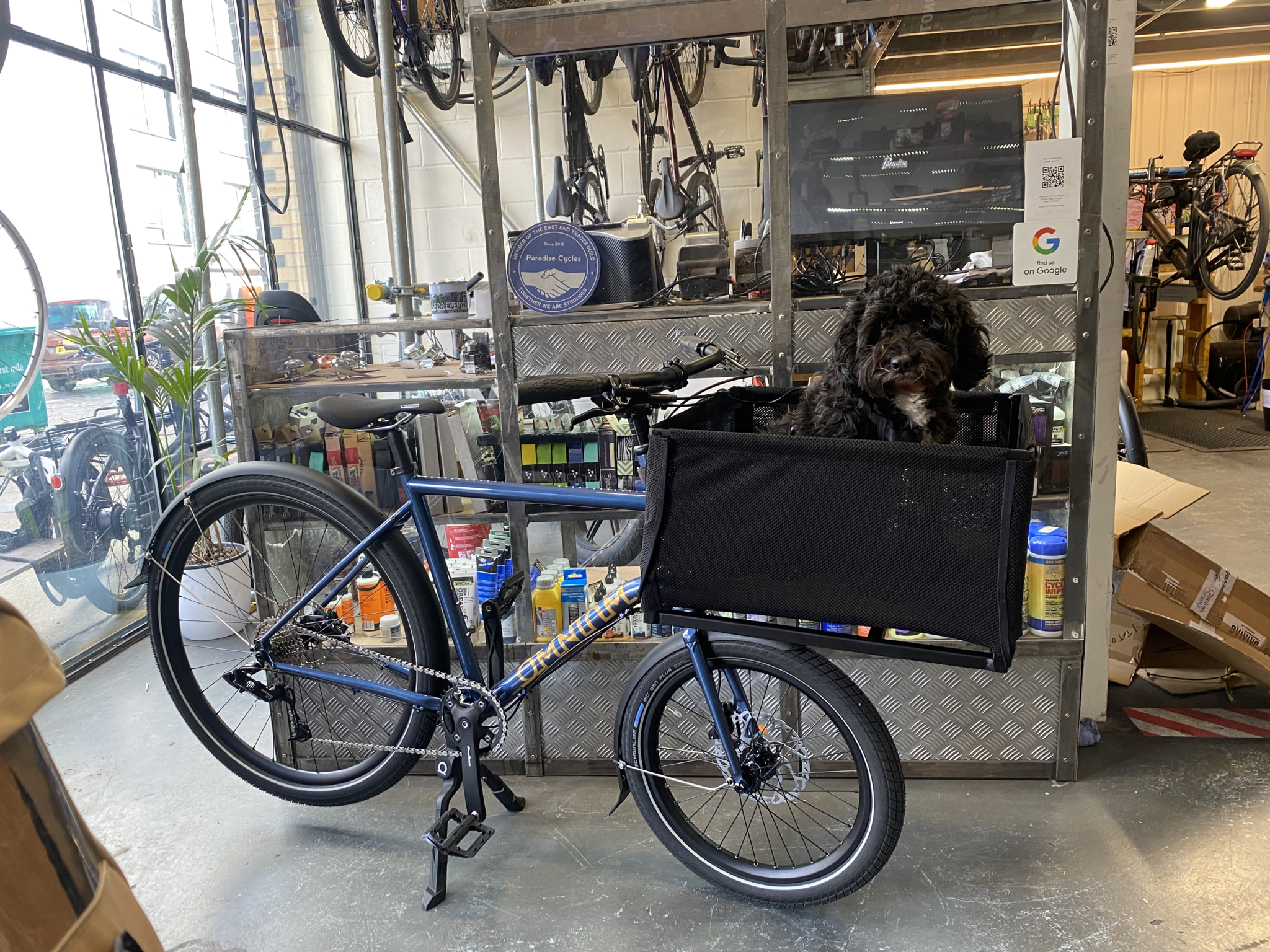 Dog box hot sale for bike